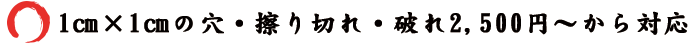 1㎝×1㎝の穴・擦り切れ・破れ2,500円～から対応